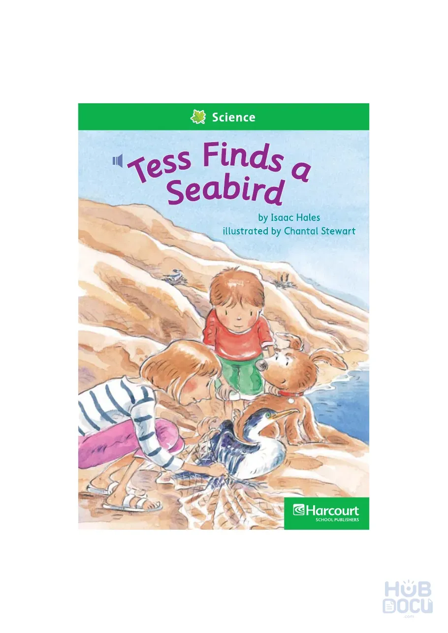 27 Tess Finds a Seabird.pdf