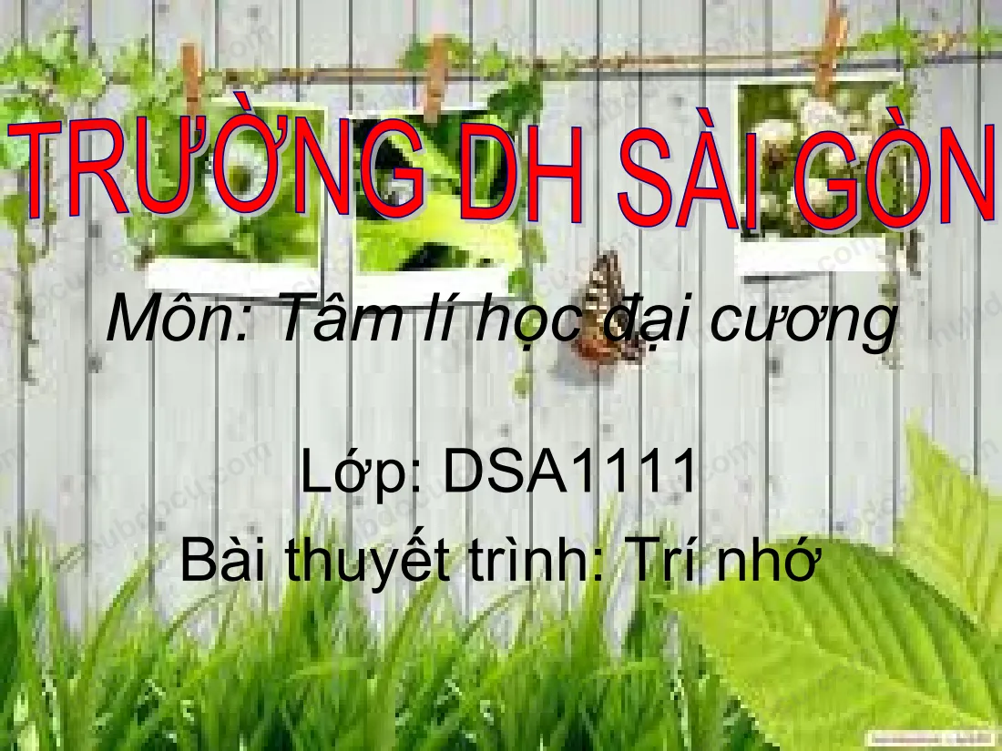 Bài thuyết trình TRÍ NHỚ - tâm lý học đại cương