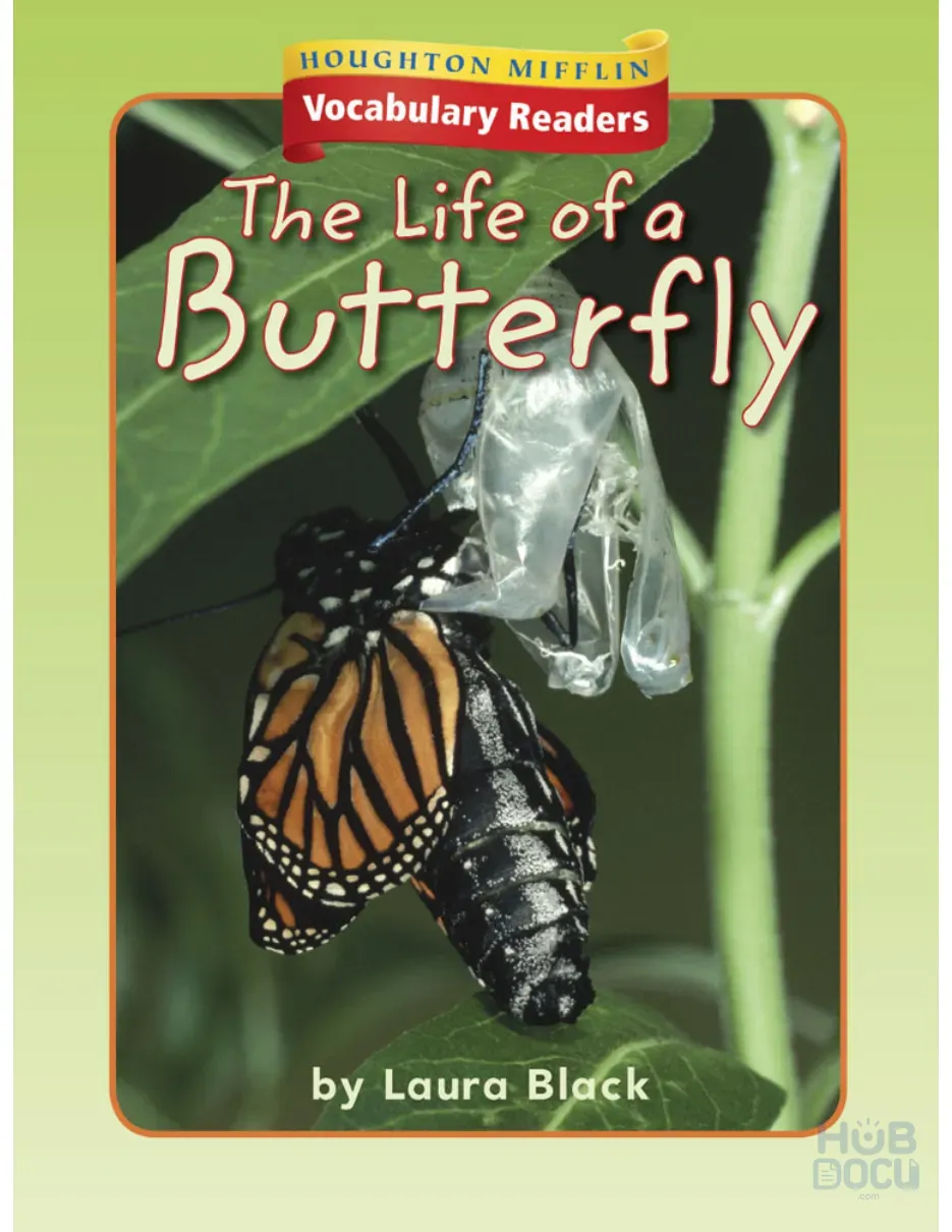 1.8.2 - The Life of a Butterfly.pdf