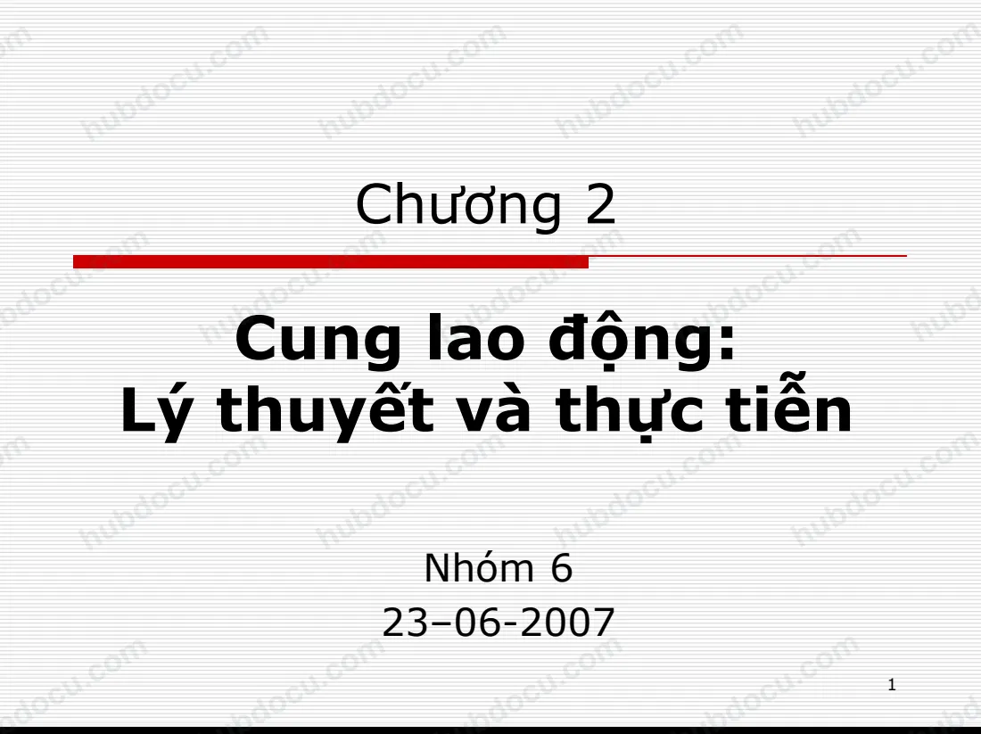 Chương 2. Cung lao động - Lý thuyết và Thực tiễn