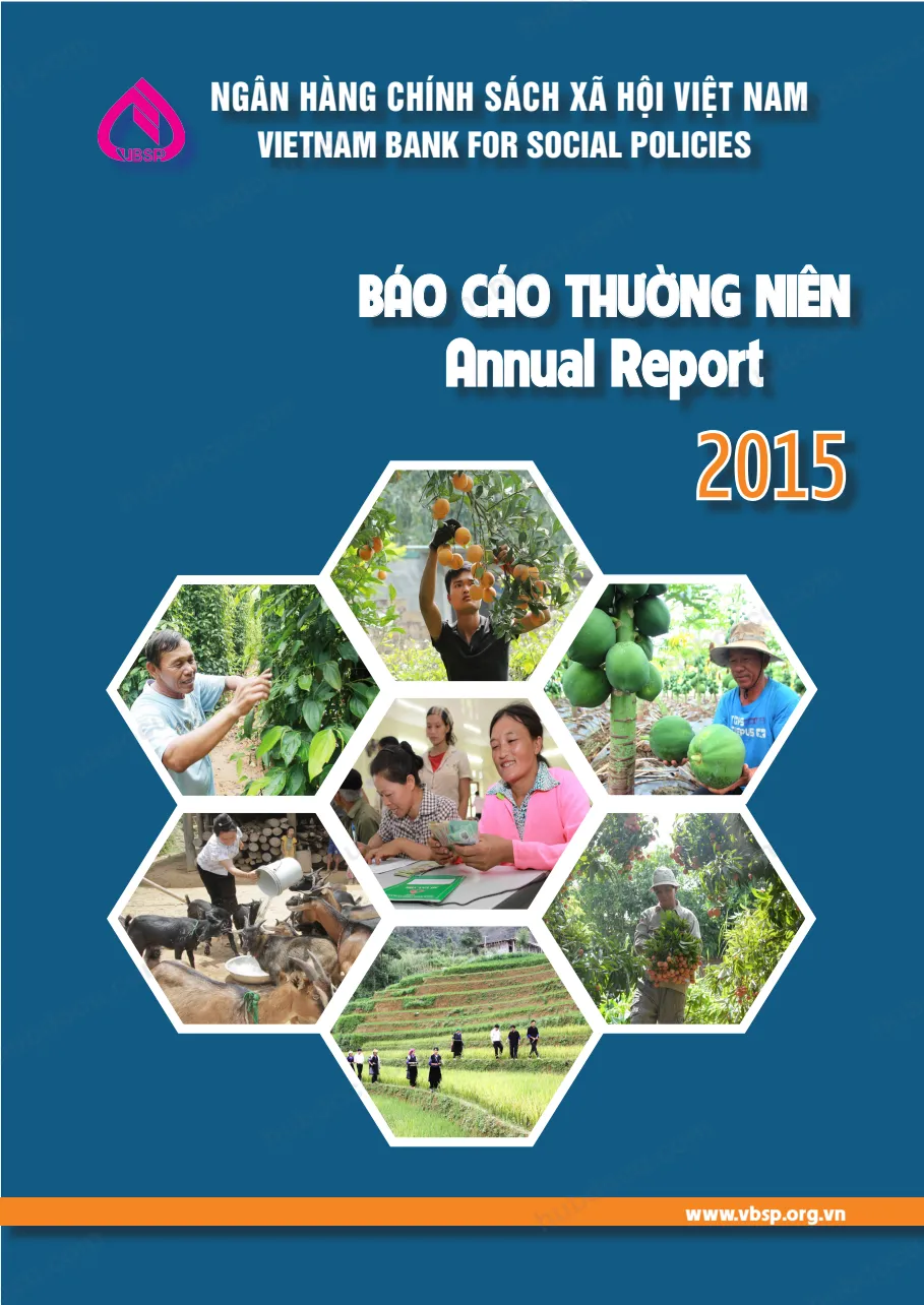 Báo cáo thường niên 2015 VBSP (Ngân hàng Chính sách Xã hội)