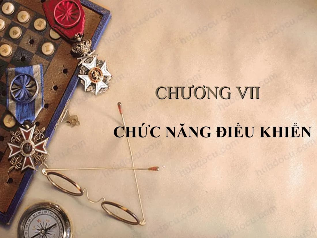 Chương VII - Chức Năng Điều Khiển Trong Quản Trị Học