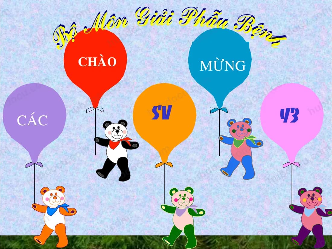 Bài Giảng - Giải Phẫu Bệnh Học