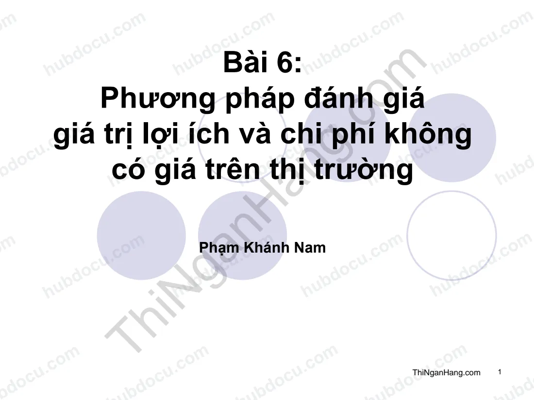 Bài 6. Phương pháp đánh giá Giá trị lợi ích và Chi phí không có giá trên thị trường