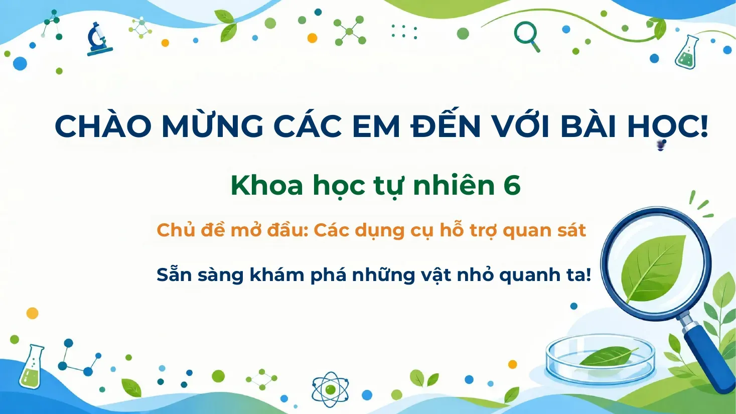 Khoa học tự nhiên Lớp 6 - Bài 3. Sử dụng kính lúp