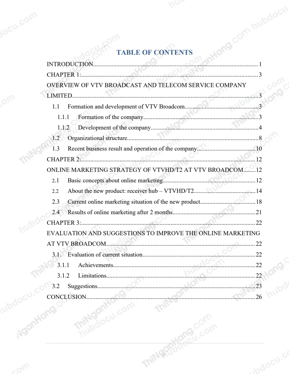 Internship report - Improving effectiveness in online marketing strategy of VTV Broadcom