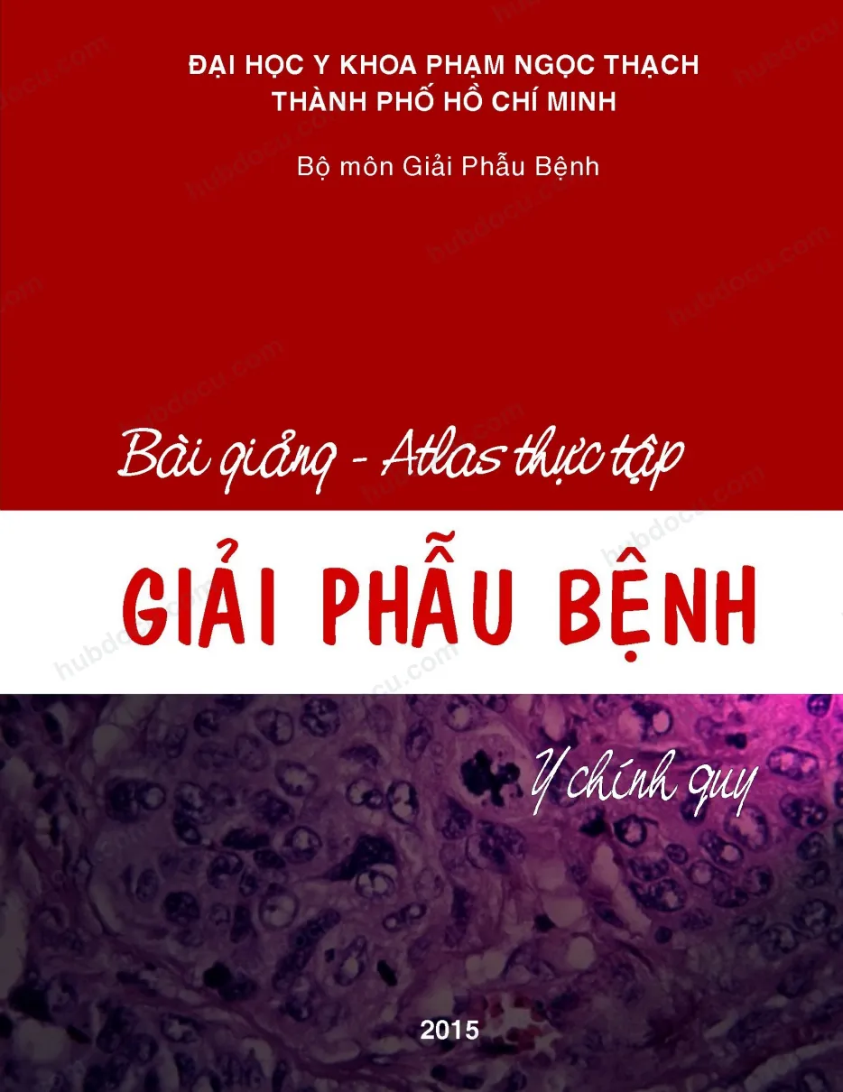 Bài Giảng - Atlas Thực Tập Giải Phẫu Bệnh ĐH Y Phạm Ngọc Thạch