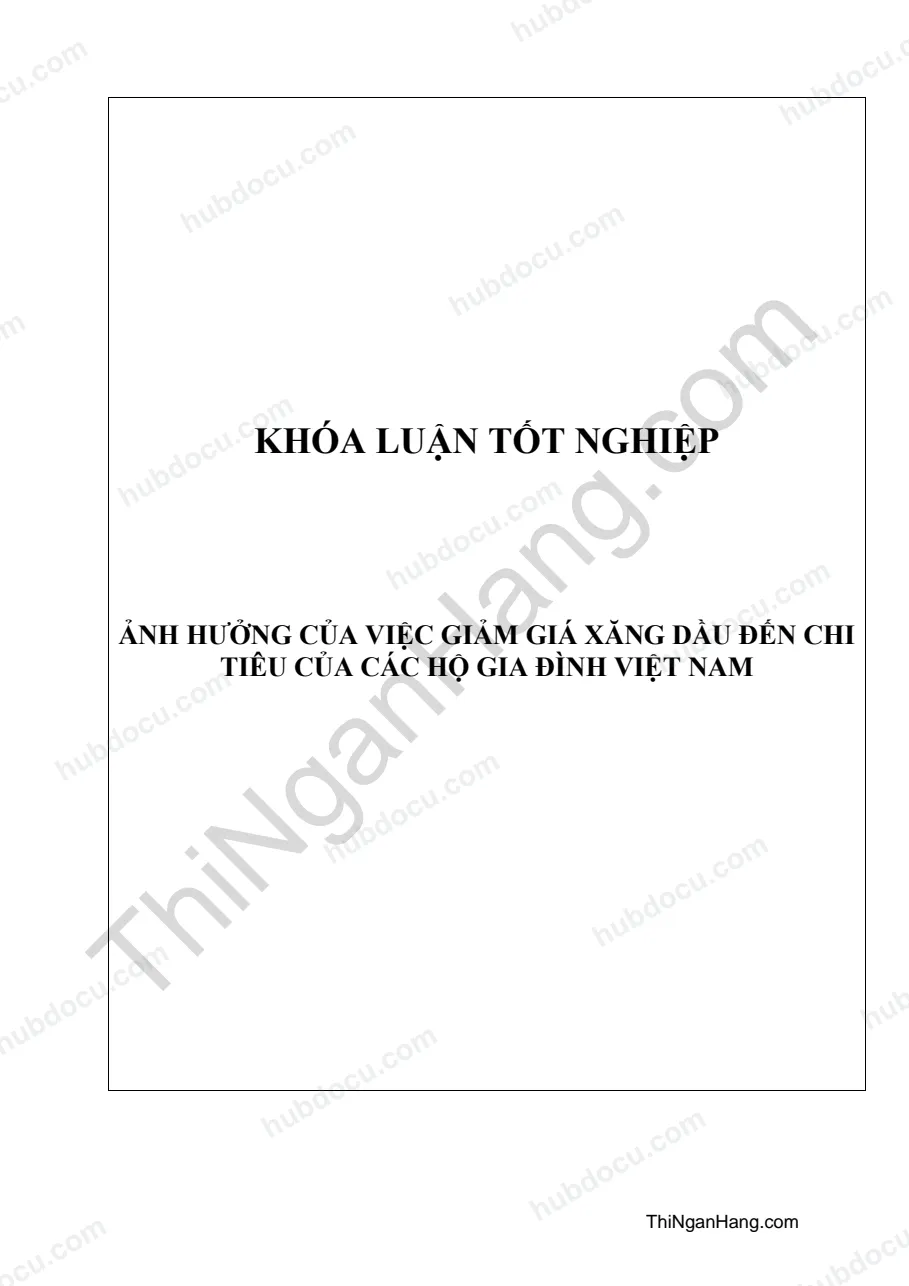 Khóa luận - Ảnh hưởng của việc giảm giá xăng dầu đến chi tiêu của các hộ gia đình Việt Nam