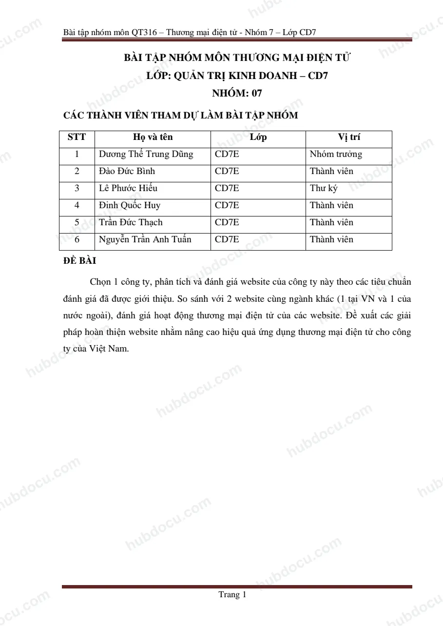 Bài tập nhóm môn thương mại điện tử - phân tích và đánh giá website