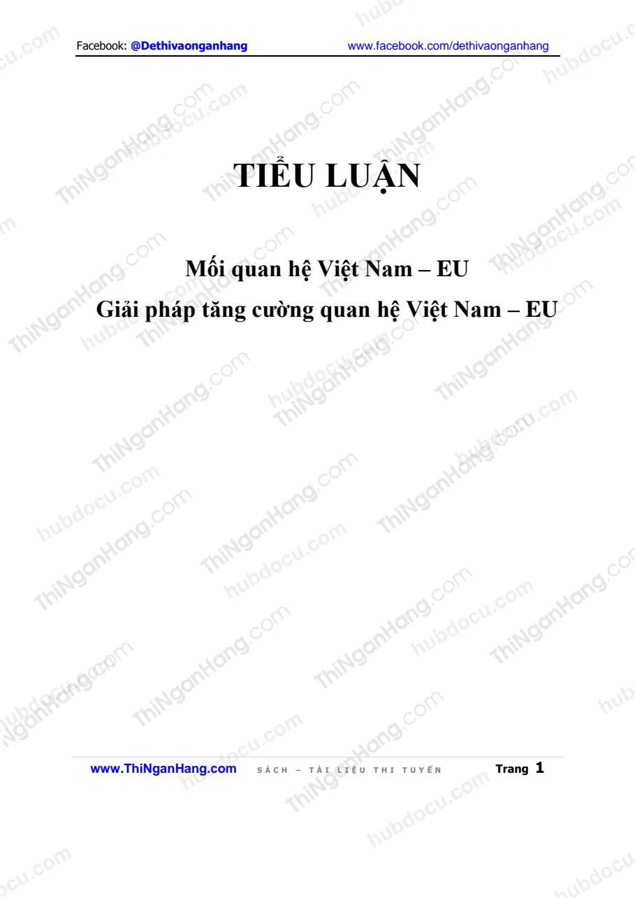 Tiểu luận - Mối quan hệ Việt Nam - EU và Giải pháp