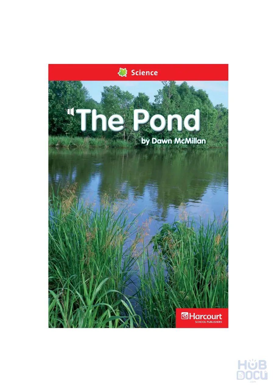 11 The Pond.pdf