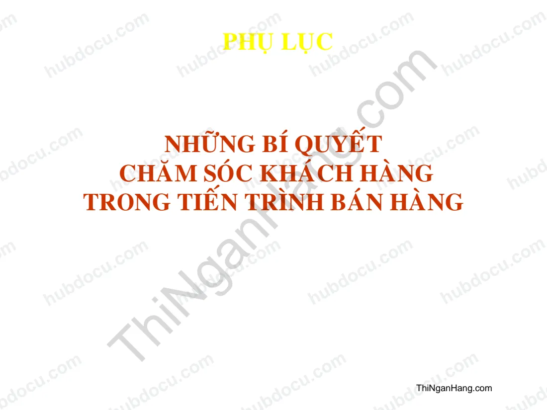Những bí quyết chăm sóc khách hàng trong tiến trình bán hàng