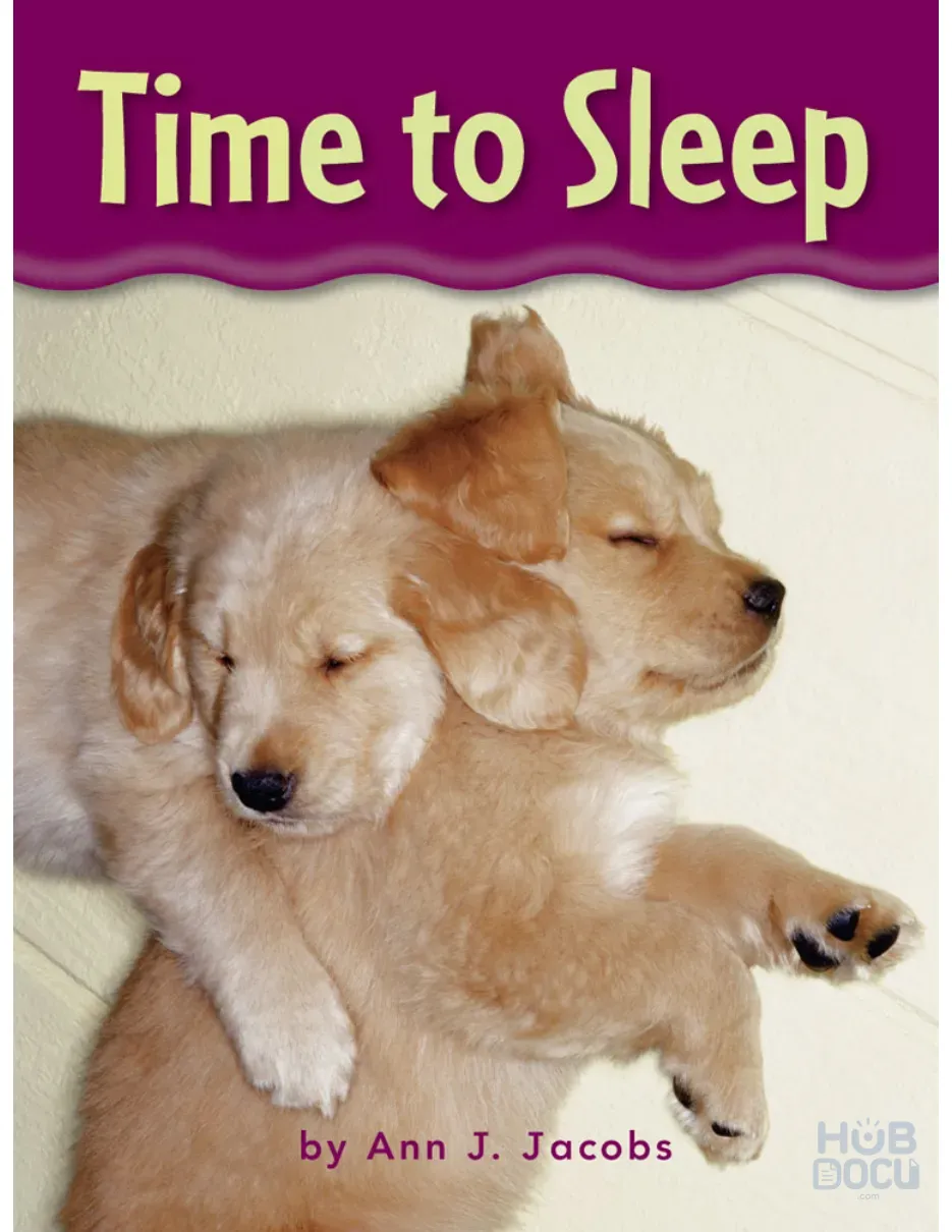 Earth Science - Looking Outside - Time to Sleep.pdf