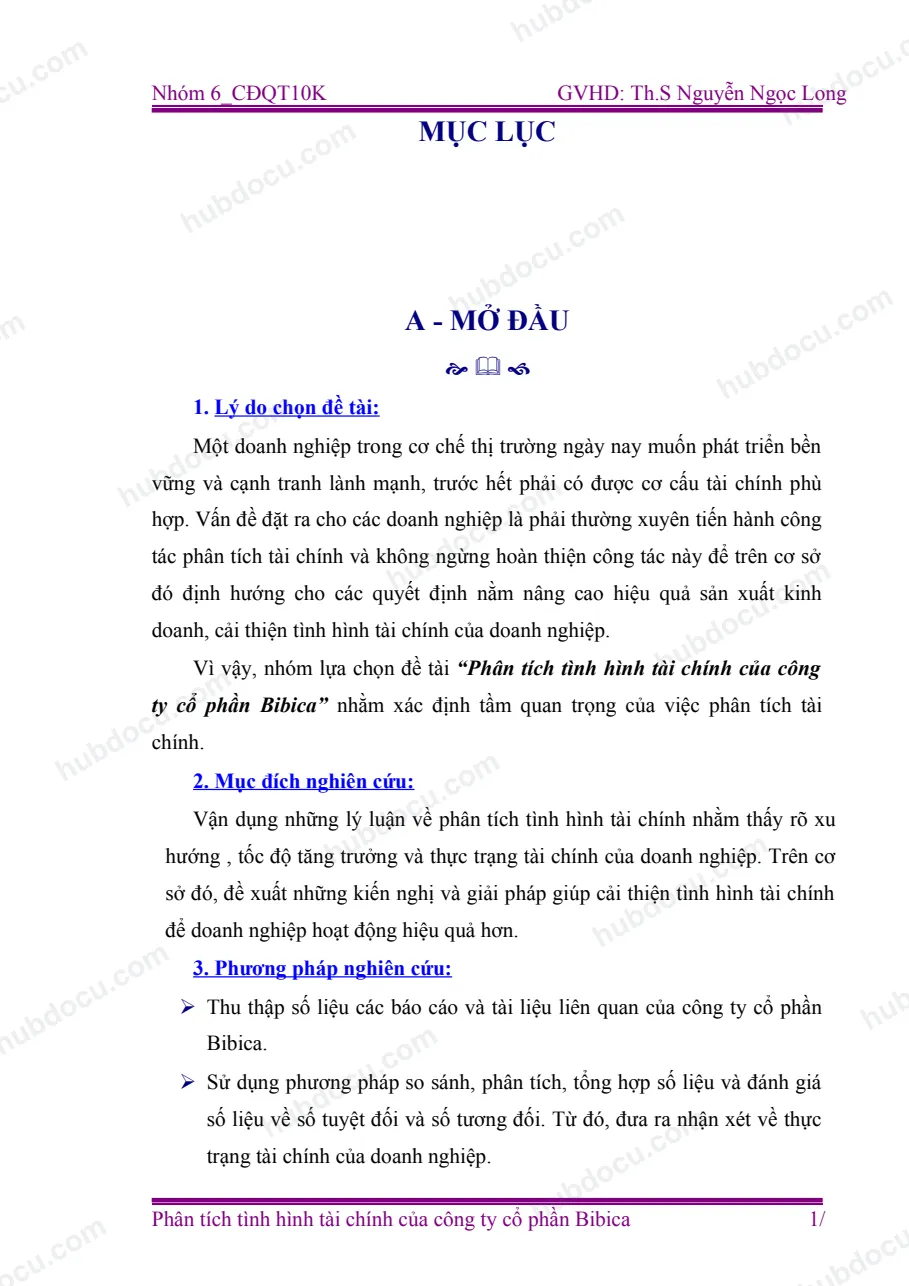 Báo cáo thực tập - Phân tích tình hình tài chính tại công ty cổ phần Bibica - giải pháp