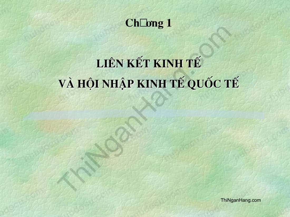 Slide Quan hệ Kinh tế quốc tế: Liên kết kinh tế và hội nhập kinh tế quốc tế