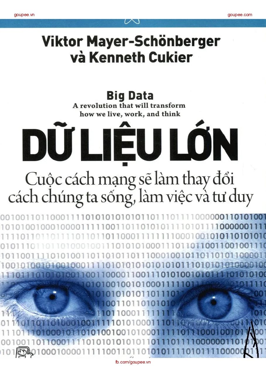 Sách Big Data Dữ liệu lớn - TG Viktor Mayer