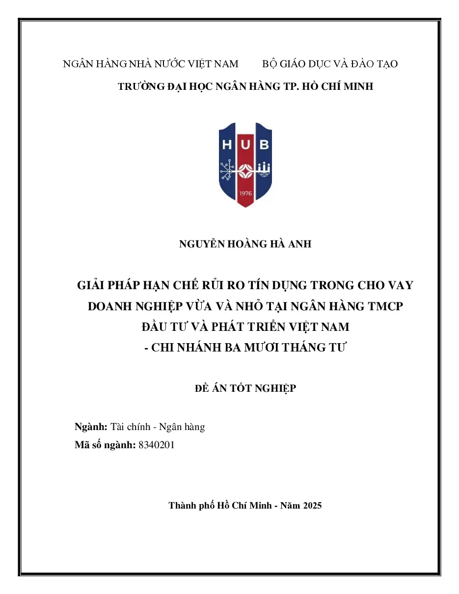 Giải pháp hạn chế rủi ro tín dụng trong cho vay doanh nghiệp vừa và nhỏ tại ngân hàng BIDV - chi nhánh Ba Mươi Tháng Tư