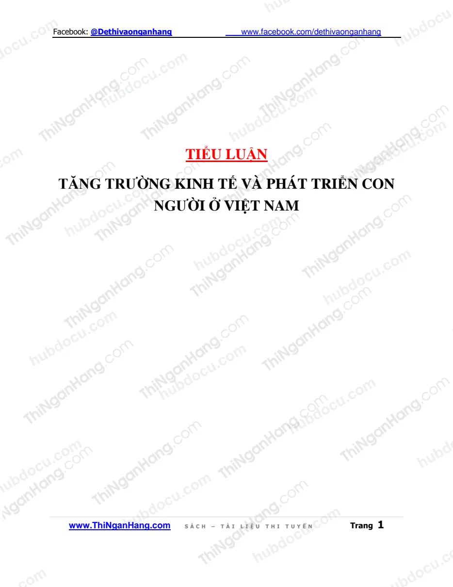 Tiếu luận - Tăng trưởng kinh tế và phát triển con người ở Việt Nam