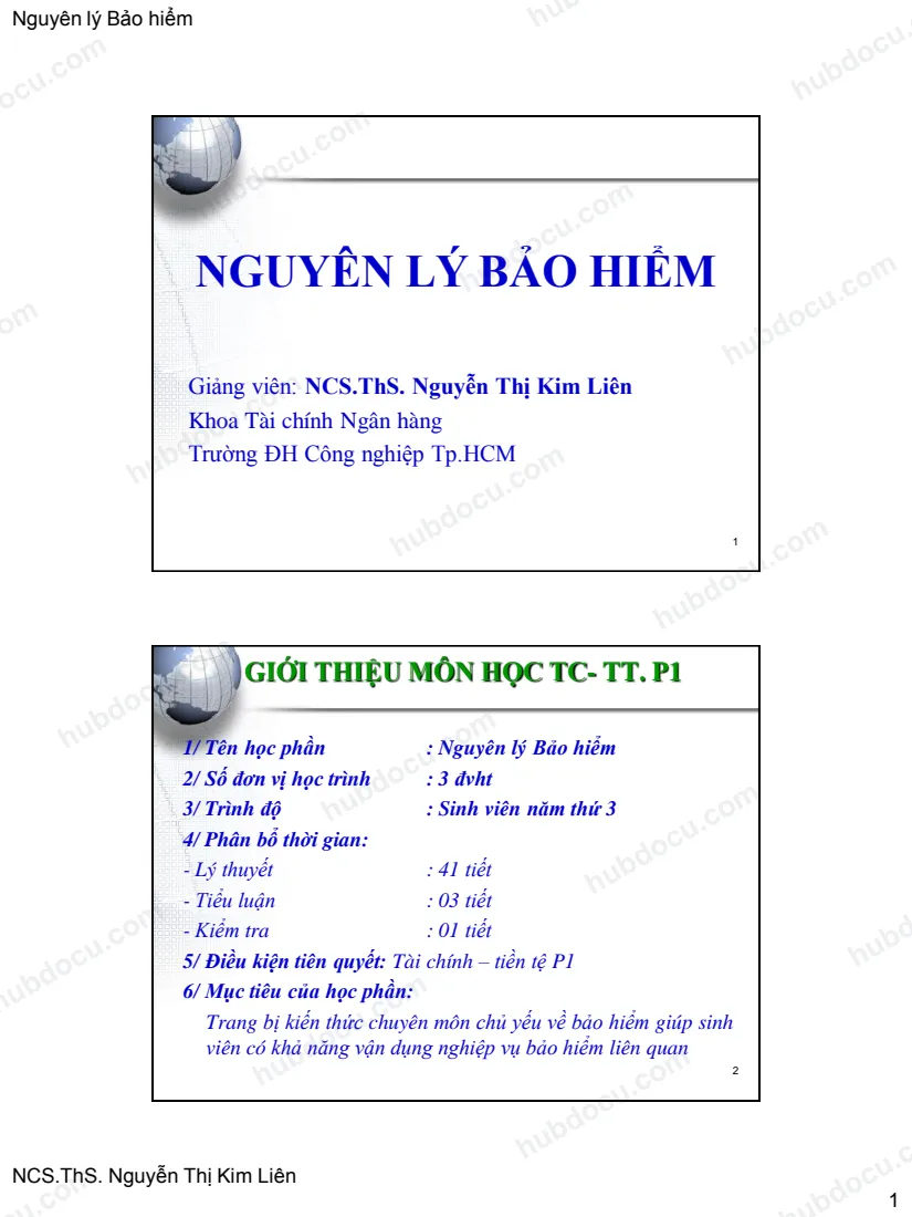 Bài Giảng - Nguyên Lý Bảo Hiểm