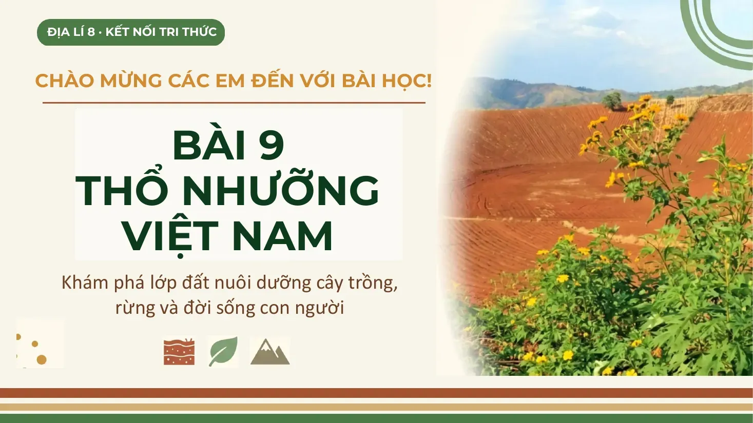 Địa lý Lớp 8 - Bài 9: Thổ nhưỡng Việt Nam