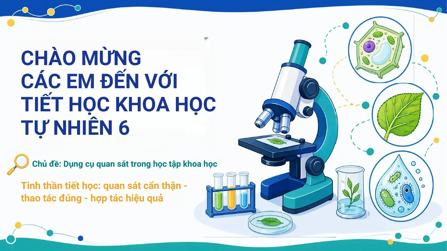 Khoa học tự nhiên Lớp 6 - Bài 4: Sử dụng kính hiển vi quang học