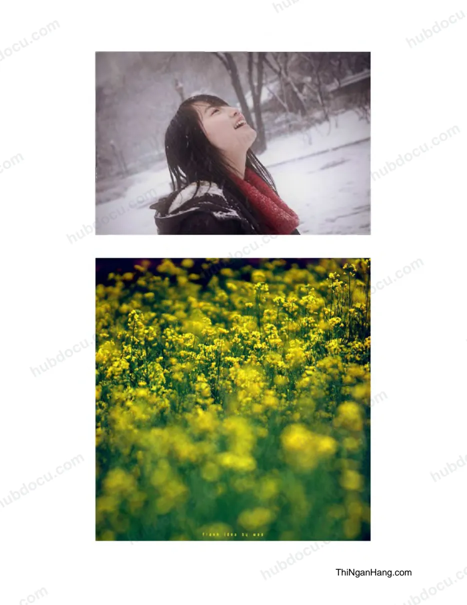 Chỉnh sửa photoshop blend mùa đông