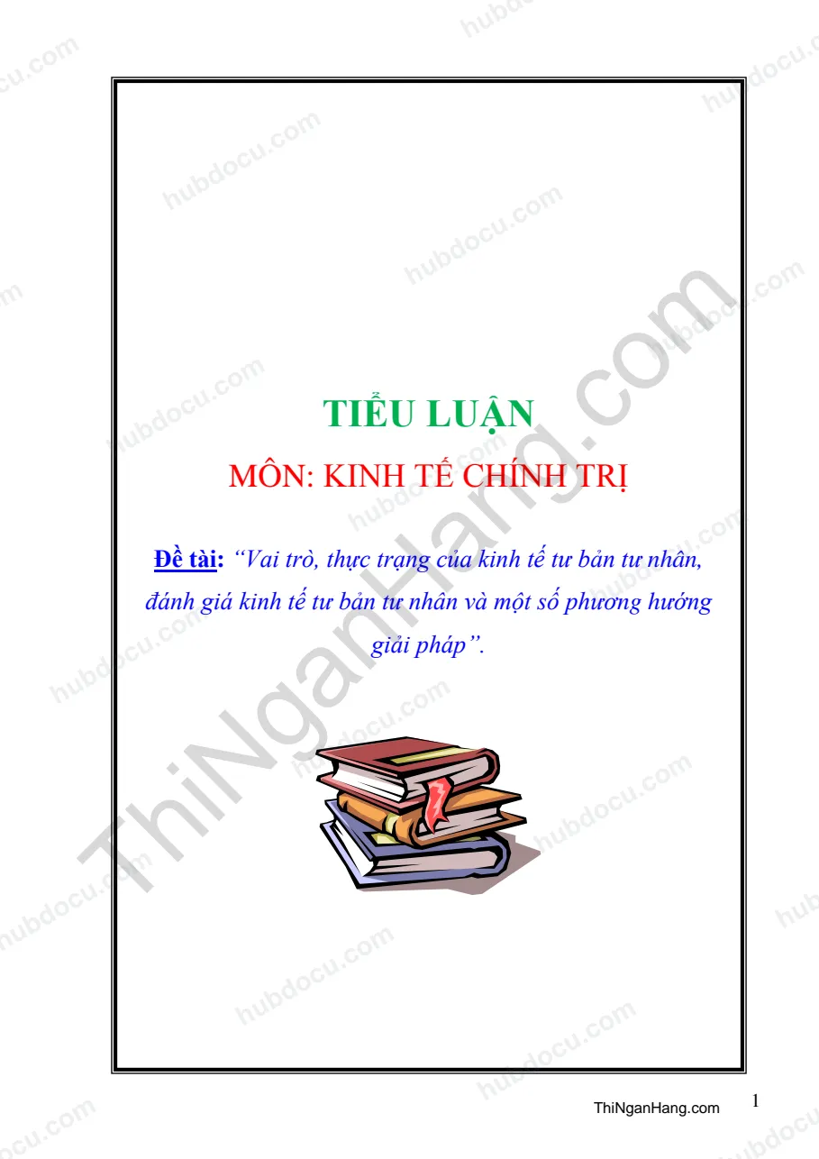 Tiểu luận: Vai trò, thực trạng của Kinh tế tư bản tư nhân, đánh giá kinh tế tư bản tư nhân và một số phương hướng giải pháp