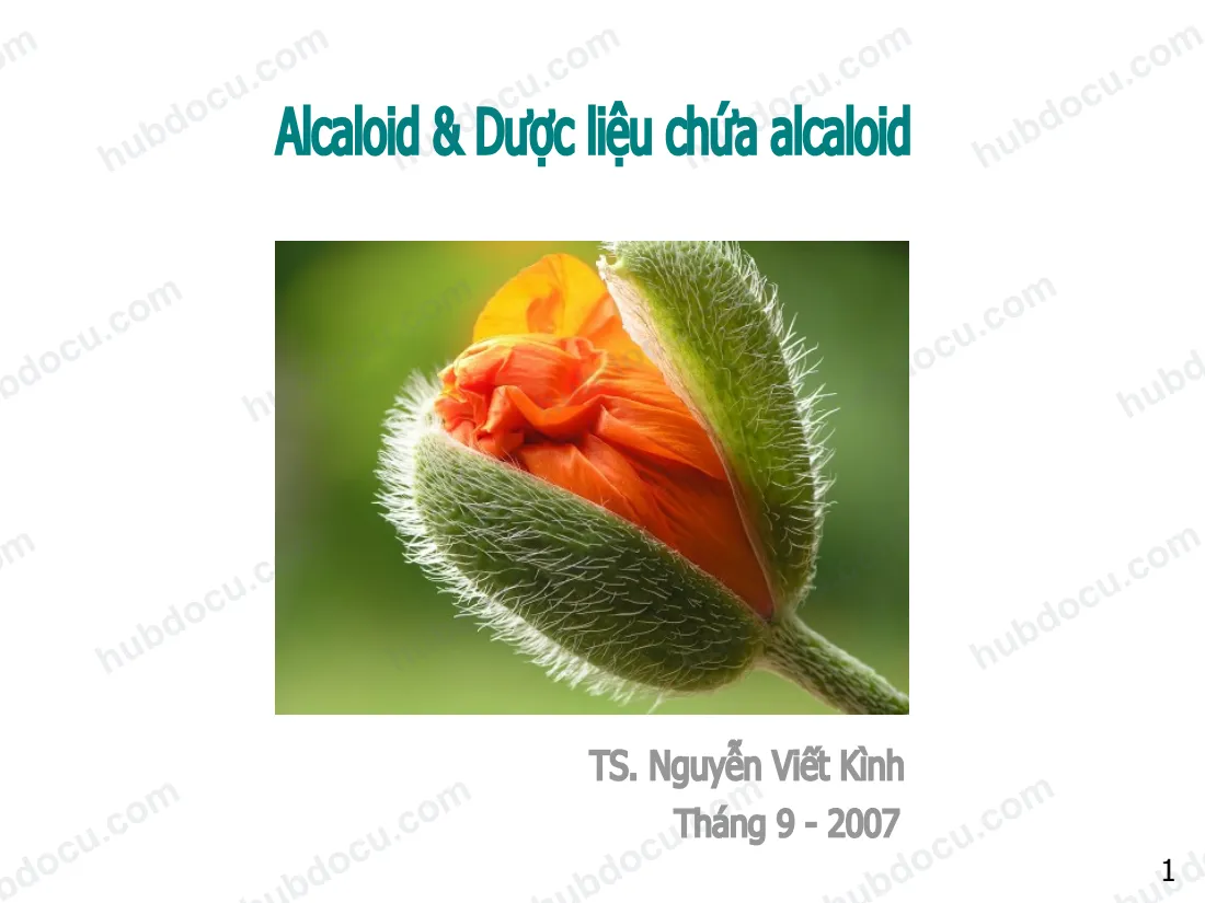 Bài Giảng - Alcaloid Dược Liệu Chứa Alcaloid