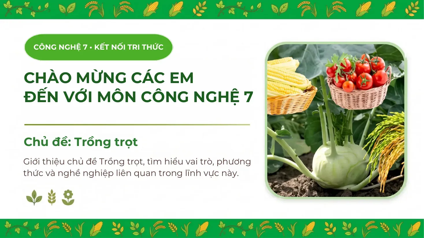 Công nghệ Lớp 7 - Bài 1: Giới thiệu về trồng trọt