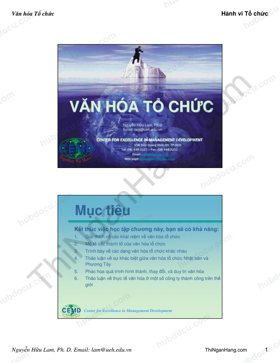 Organizational Culture - Văn hoá tổ chức - Nguyễn Hữu Lam