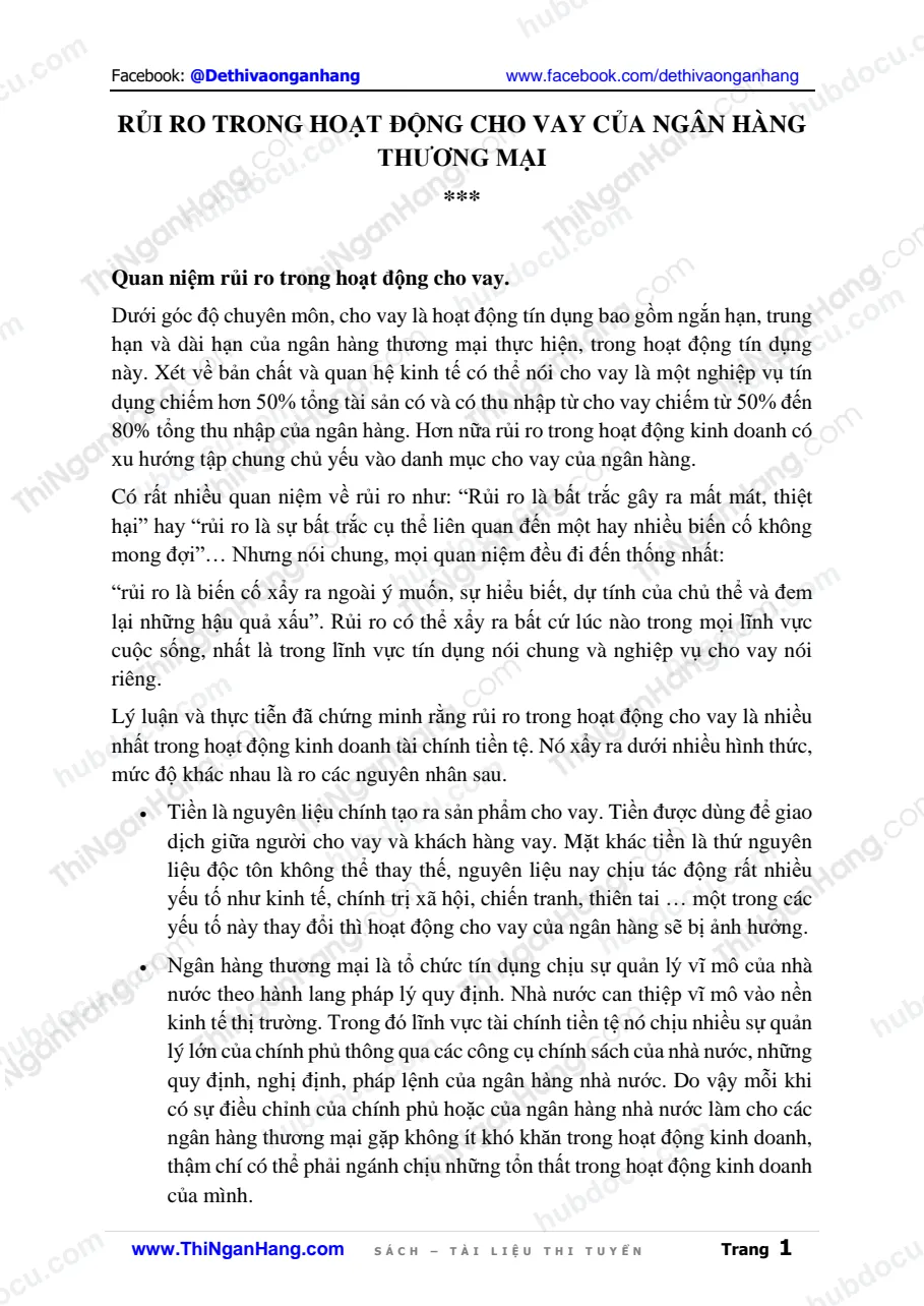 Rủi ro trong hoạt động Cho vay của Ngân hàng Thương mại