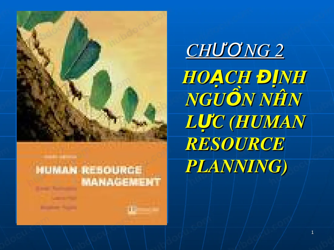Chương 2 - Hoạch Định Nguồn Nhân Lực (Human Resource Planning)