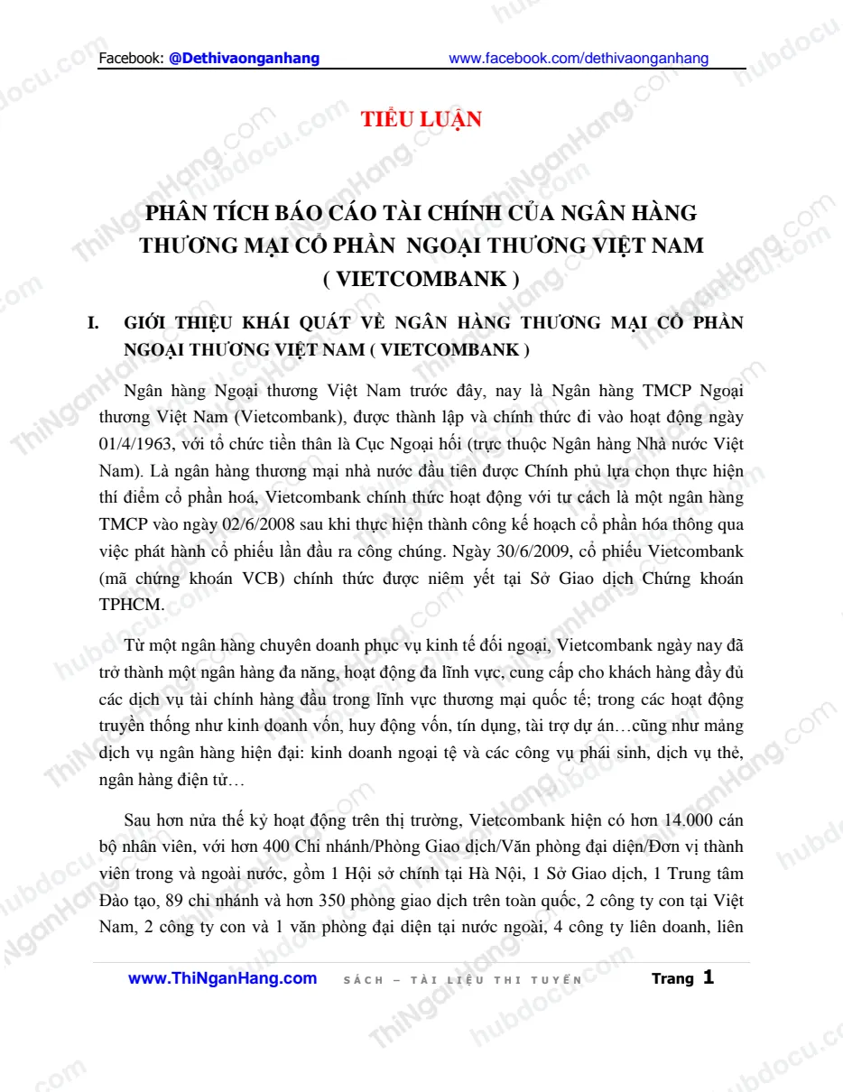 Tiểu luận - Phân tích báo cáo tài chính của Vietcombank (VCB)