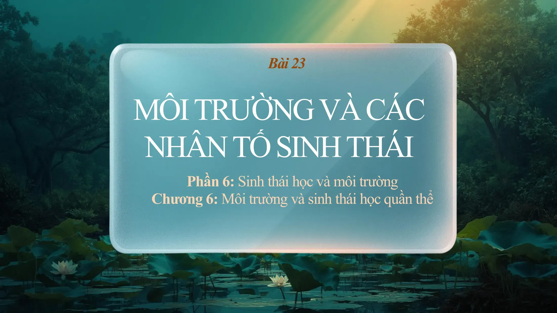 Sinh học Lớp 12 - Bài 23: Môi trường và các nhân tố sinh thái