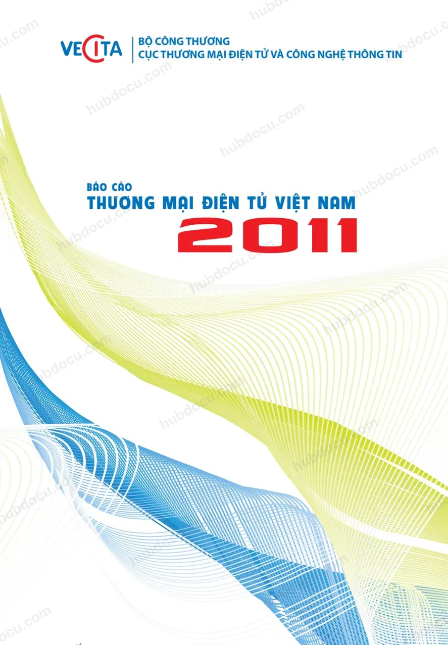 Báo cáo thương mại điện tử năm 2011