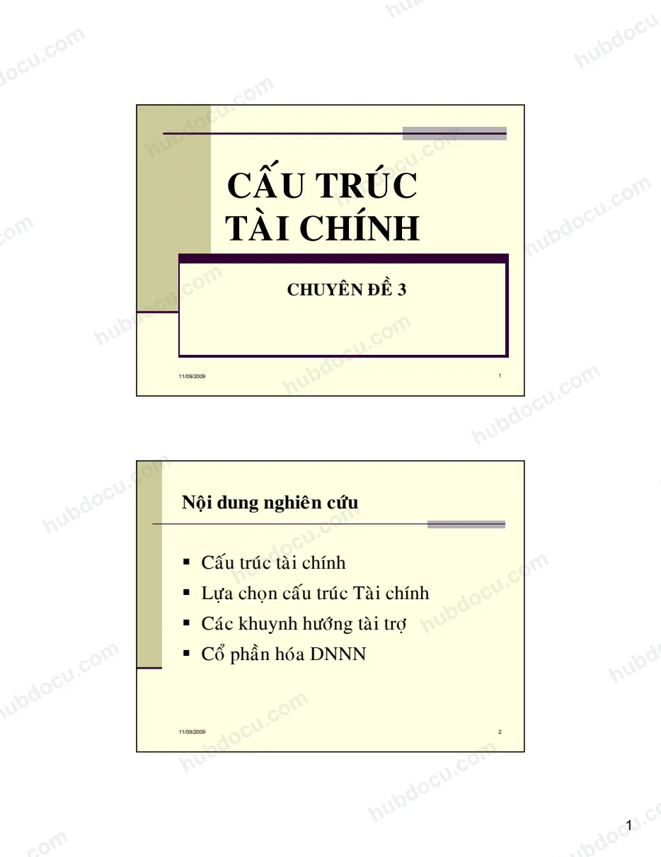 Chuyên đề 3. Cấu trúc tài chính