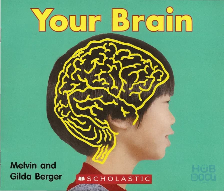05 Your Brain.pdf
