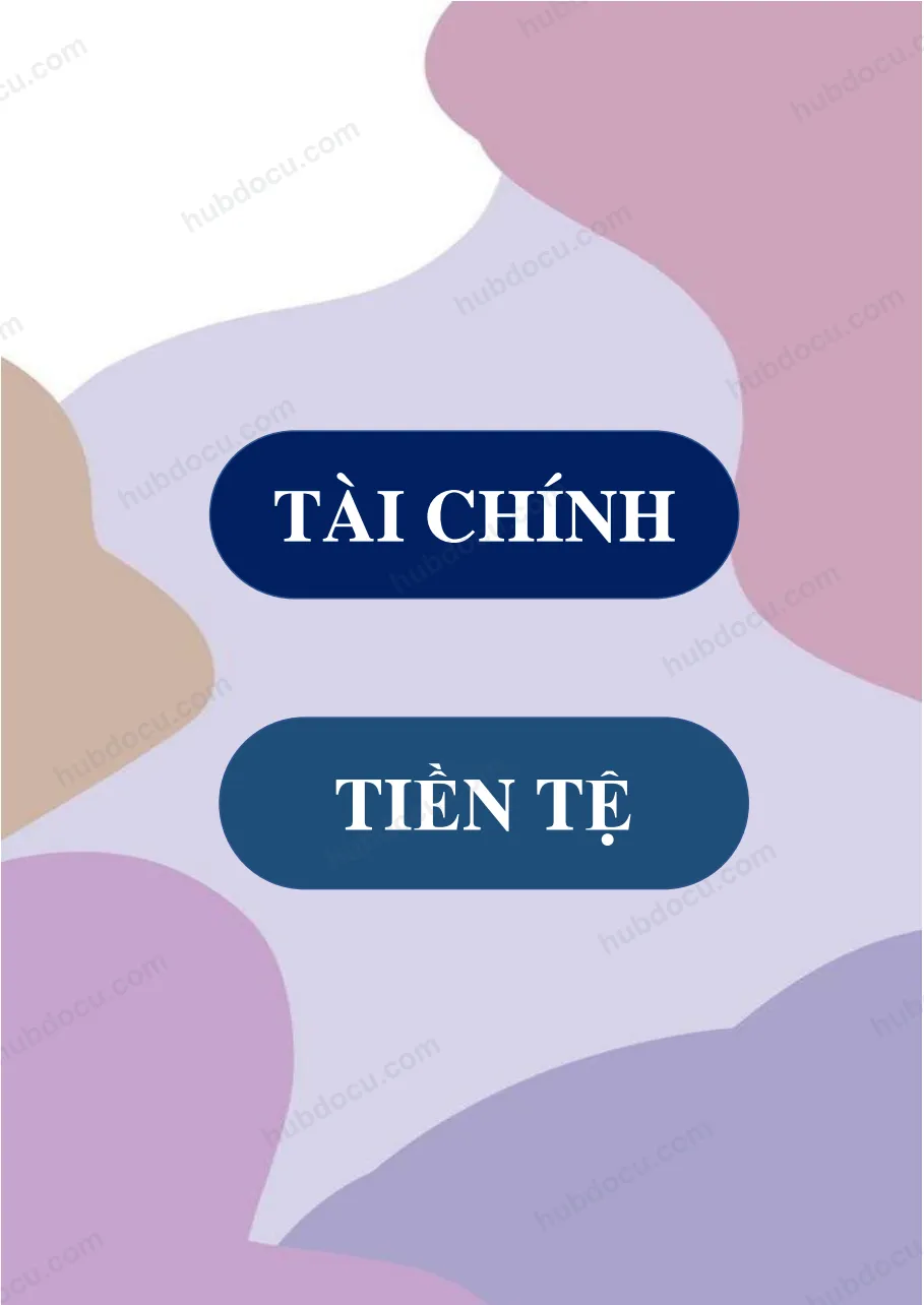 Sơ đồ tóm tắt tài chính tiền tệ