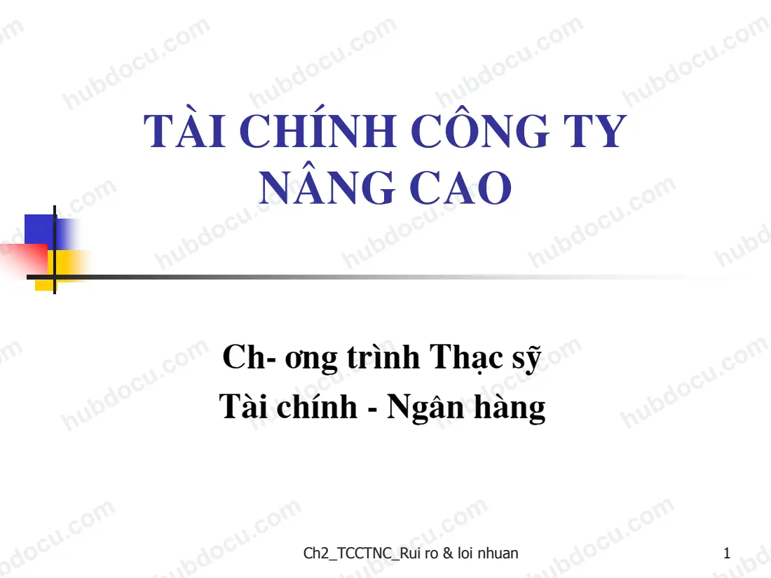 C2. Quan hệ giữa tỷ suất lợi nhuận và rủi ro - Slide Tài chính công ty nâng cao