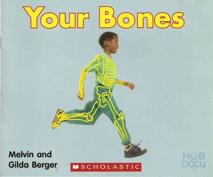 02 Your Bones.pdf