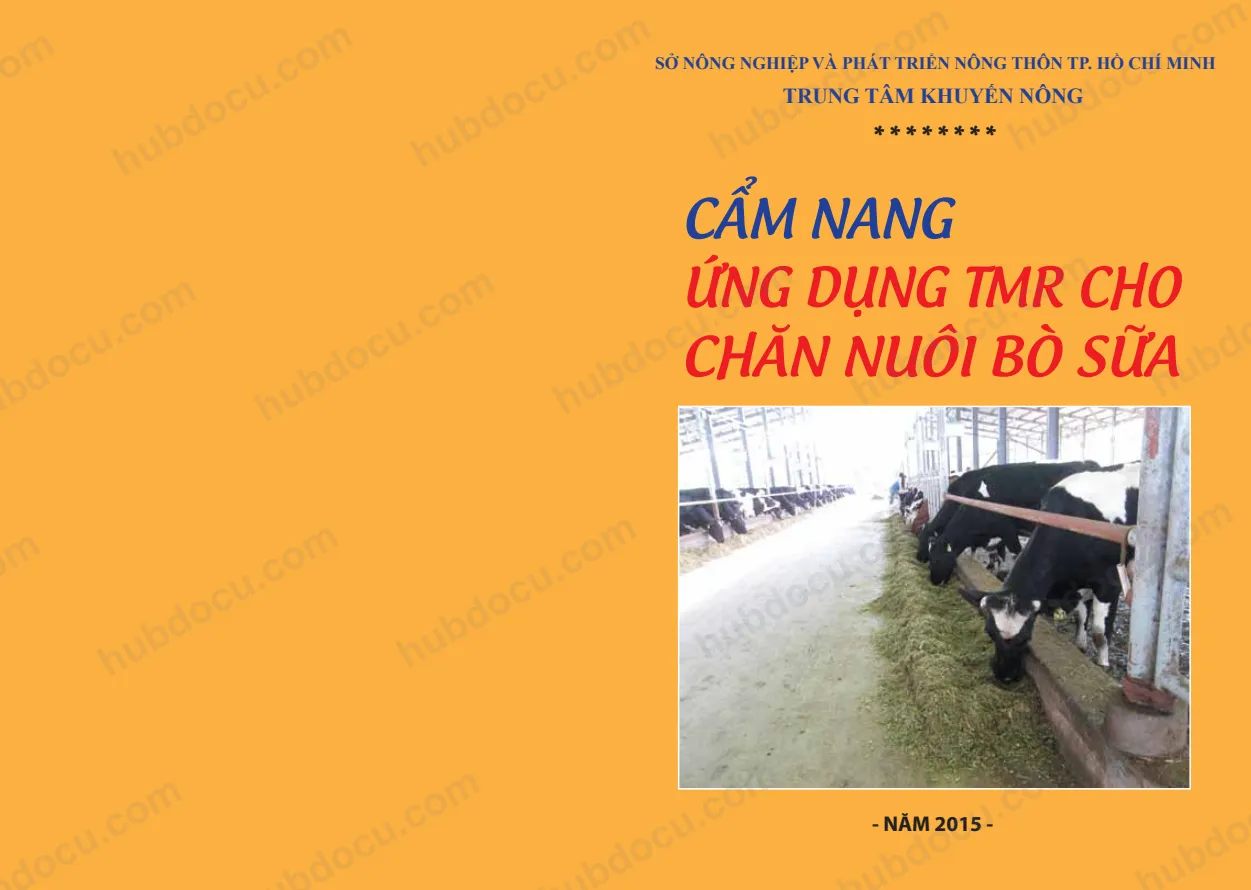 Cẩm nang ứng dụng TMR cho chăn nuôi bò sữa