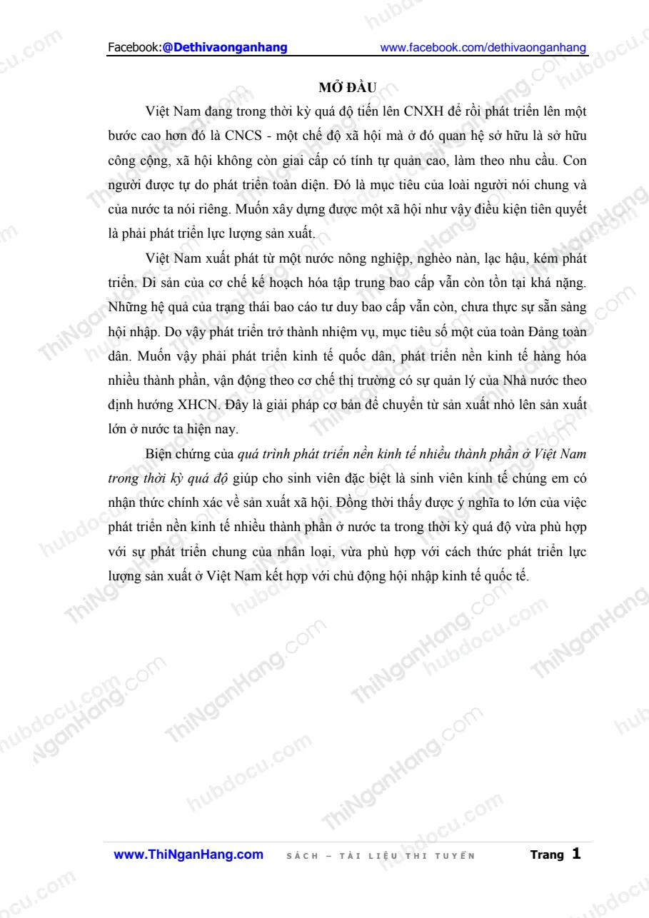 Tiểu luận - Quá trình phát triển nền kinh tế nhiều thành phần ở Việt Nam trong thời kỳ quá độ