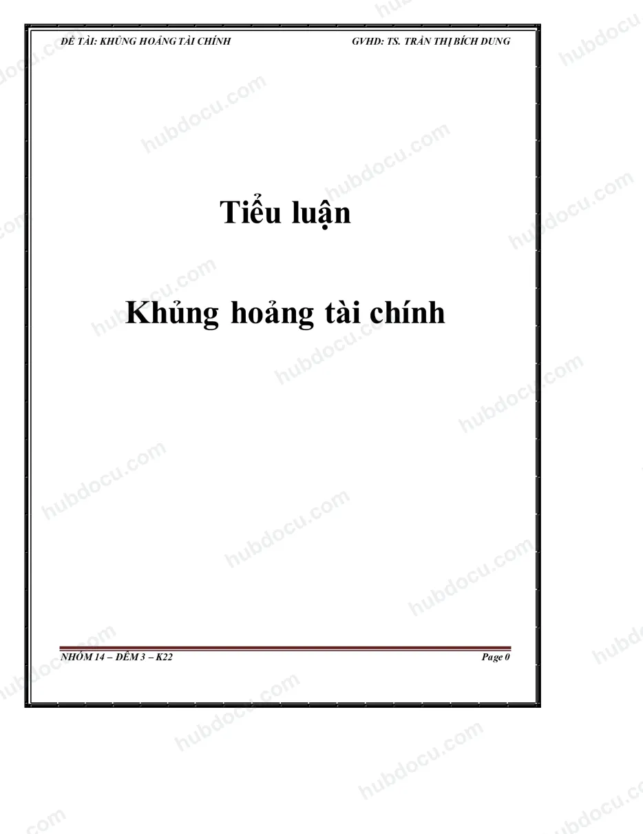 Tiểu luận - Các cuộc khủng hoảng tài chính