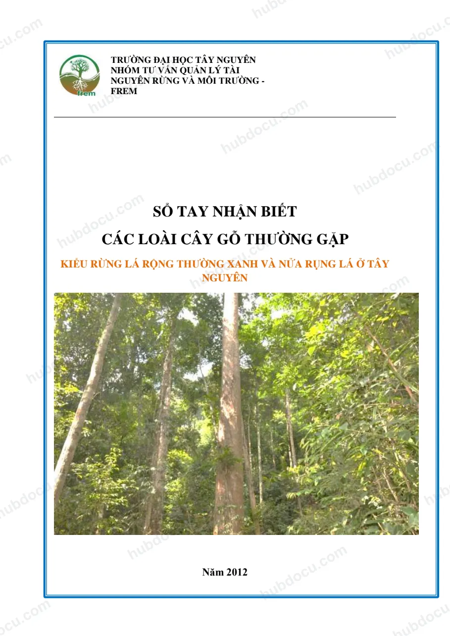 Sổ tay nhận biết các loài cây gỗ thường gặp kiểu rừng lá rộng thường xanh và nửa rụng lá ở Tây Nguyên
