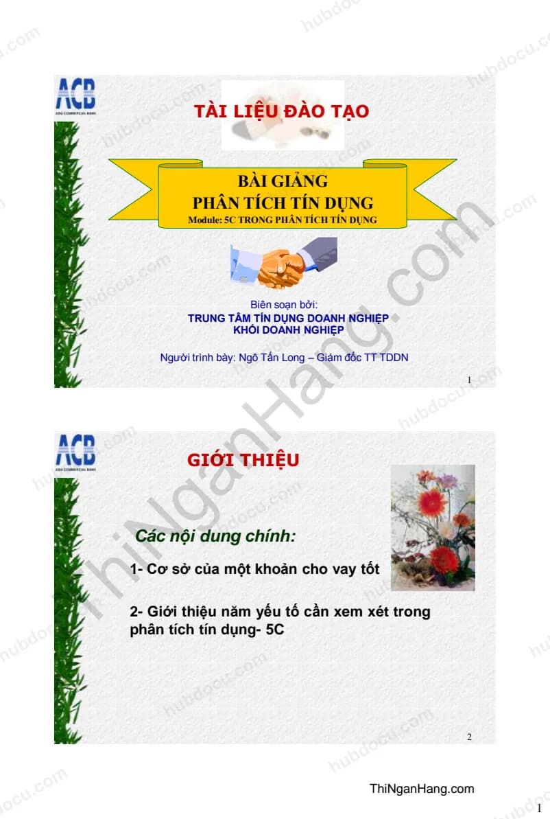 Tài liệu phân tích tín dụng 5C của ACB