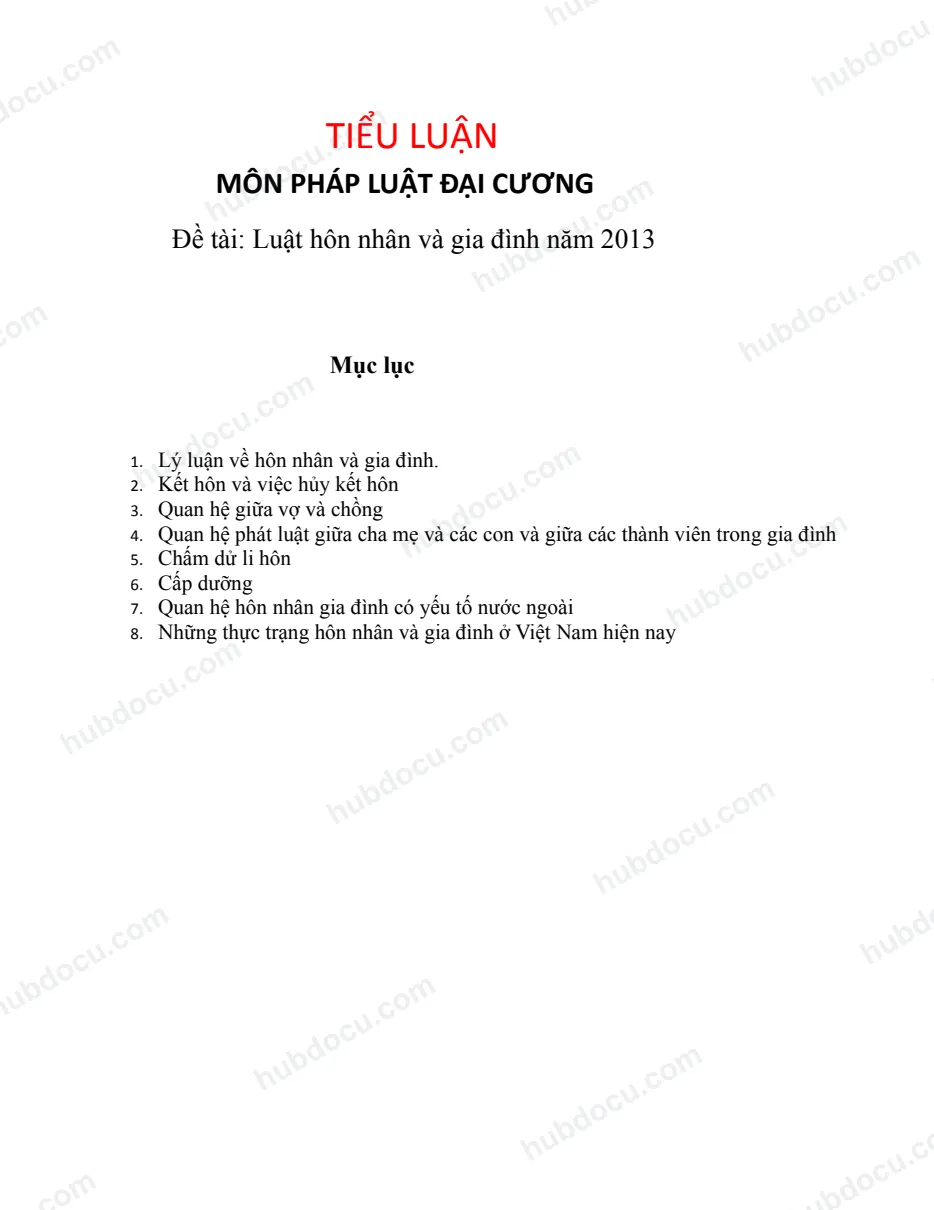TIỂU LUẬN (pháp luật đại cương)_ Luật hôn nhân và gia đình