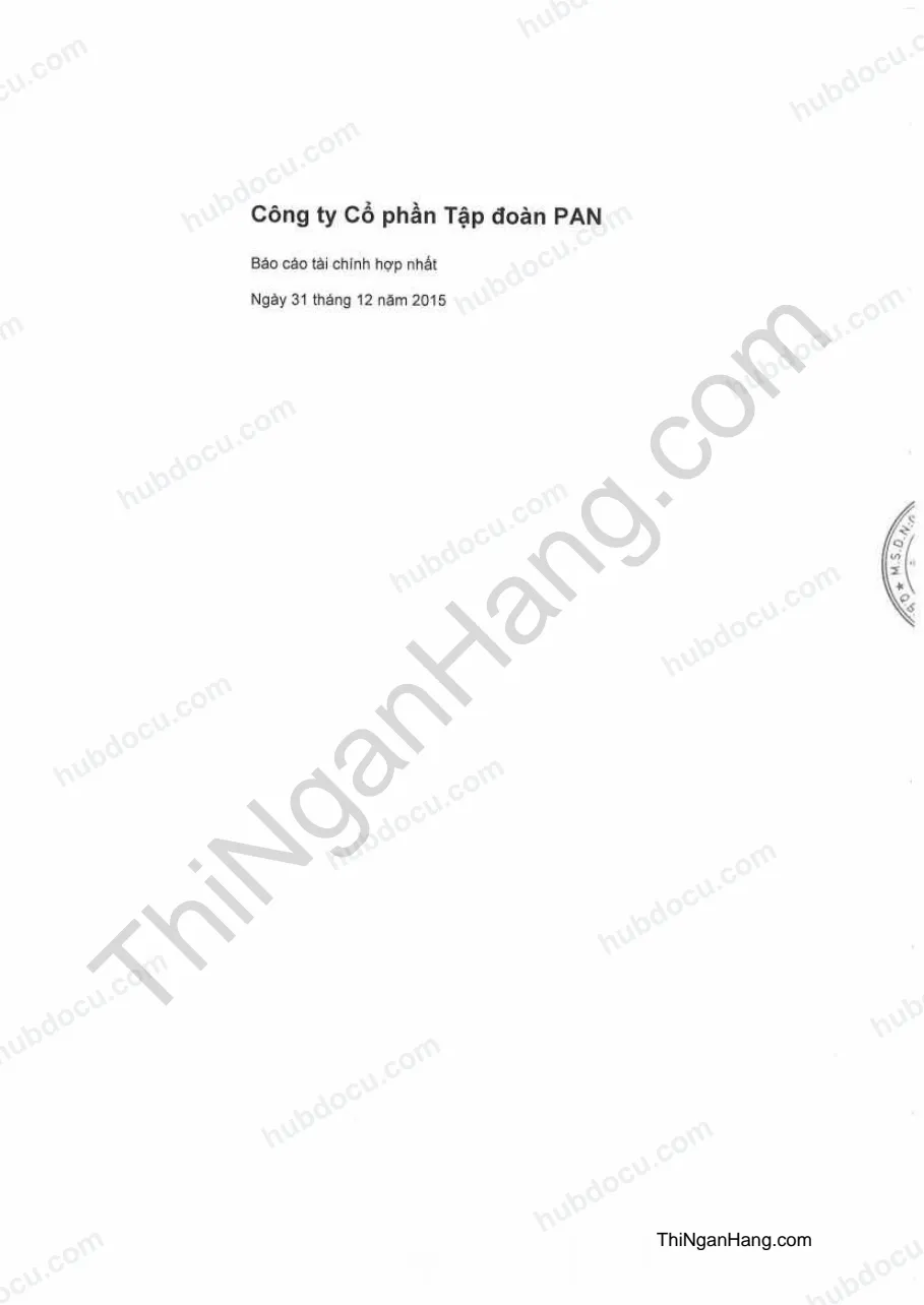Báo cáo tài chính Cty cổ phần Tập đoàn PAN