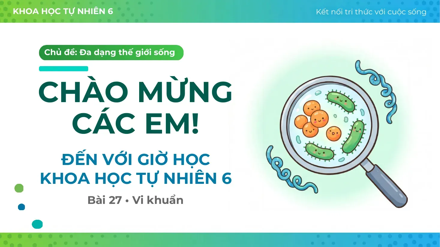 Khoa học tự nhiên Lớp 6 - Bài 27: Vi khuẩn