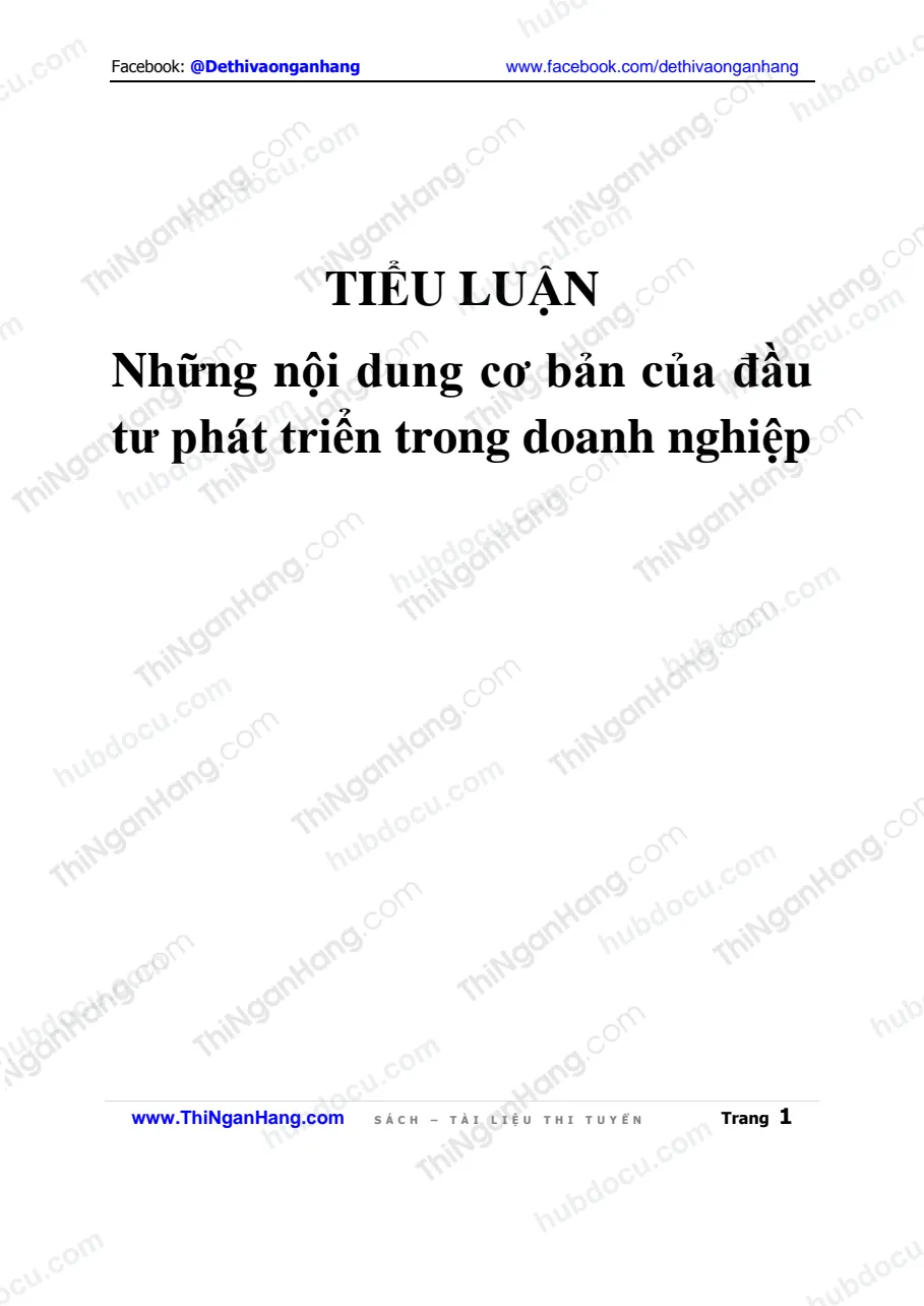 Tiểu luận - Những nội dung cơ bản của đầu tư phát triển trong doanh nghiệp