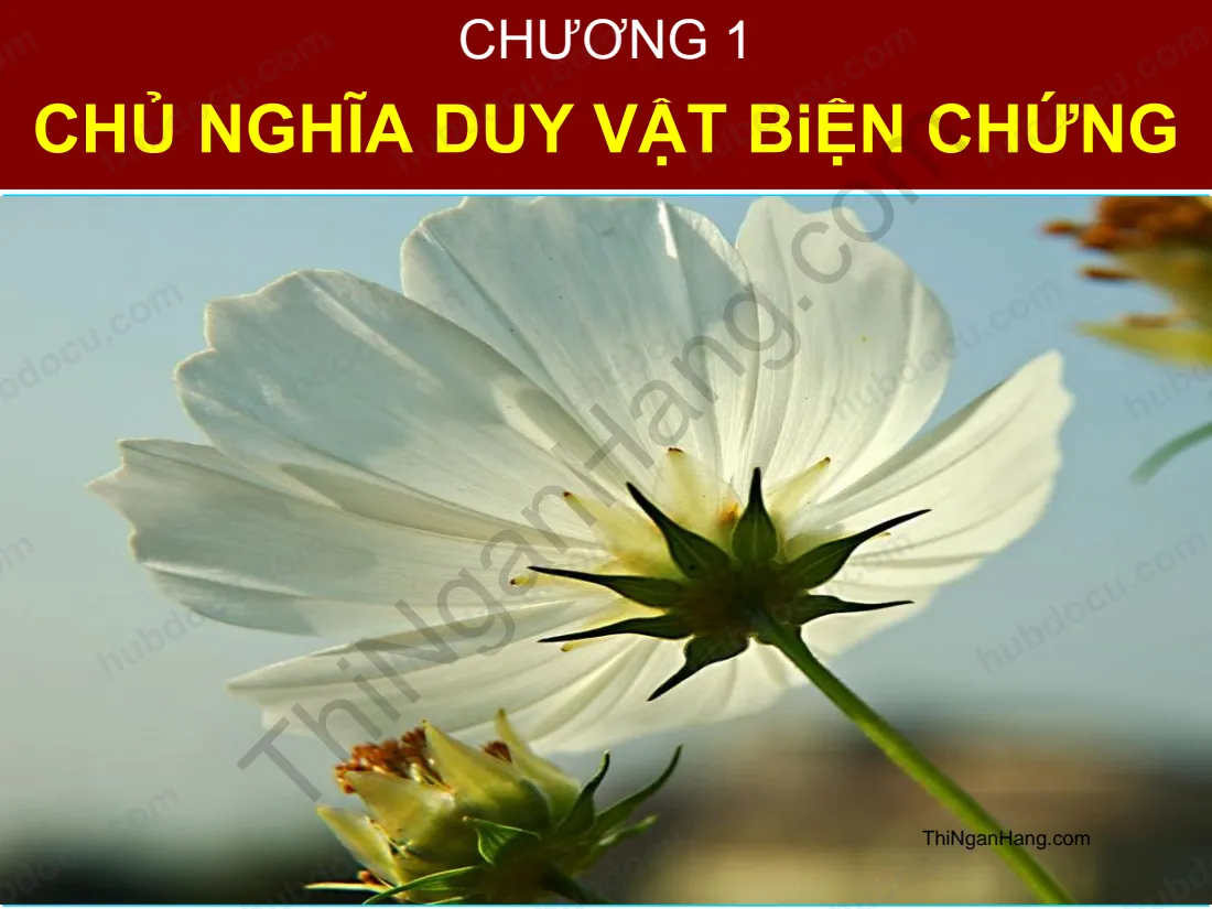 Slide Những nguyên lý cơ bản chủ nghĩa Mác - Lênin: Chủ nghĩa duy vật biện chứng